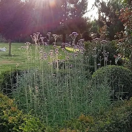 Le Clos Des Marronniers 펜션 Ecques