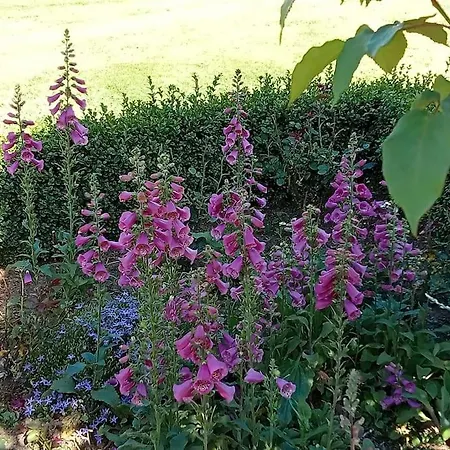 펜션 Le Clos Des Marronniers *