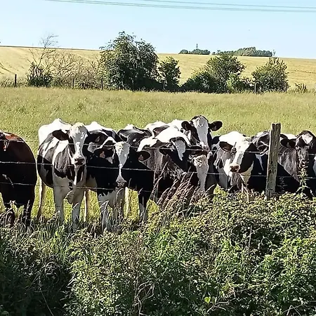 Le Clos Des Marronniers 펜션 *