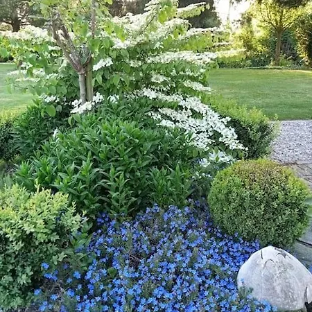 펜션 Le Clos Des Marronniers *