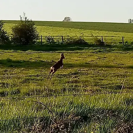 Le Clos Des Marronniers